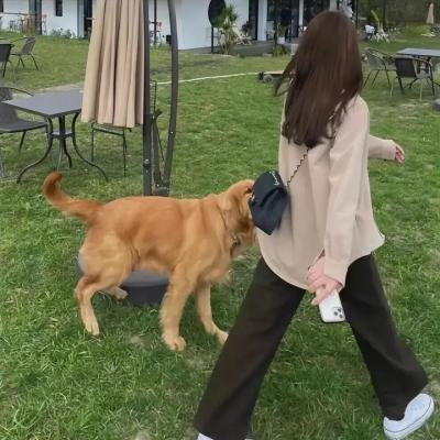 艳贼历险记